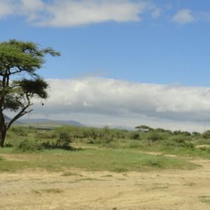 Meet your Posher, Cassidy